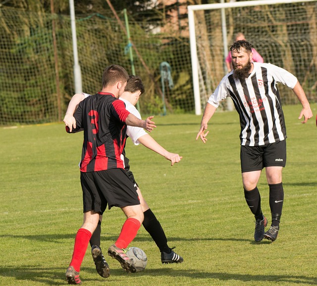 就必须在季 就必须在季