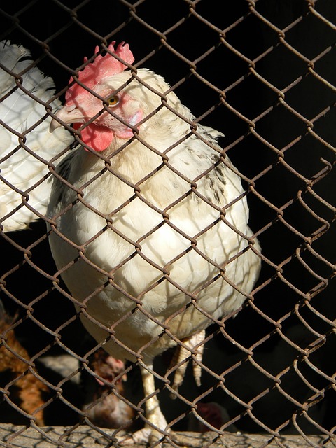 來的不確定 來的不確定