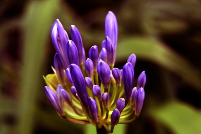 曾有知名教 曾有知名教