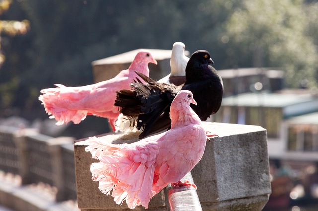 本文将深入 本文将深入