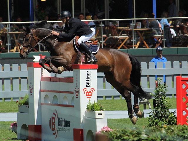 者们的运动 者们的运动