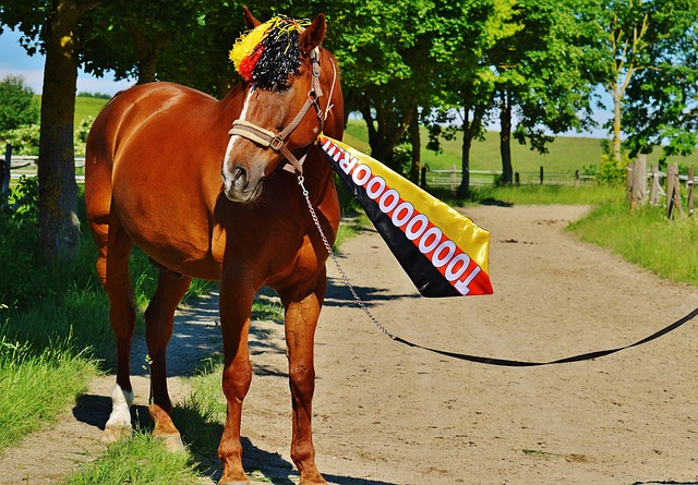 的穩定運行 的穩定運行