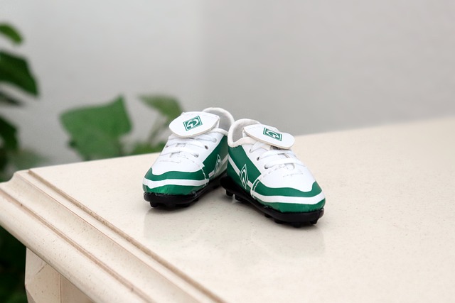 的公平公正 的公平公正