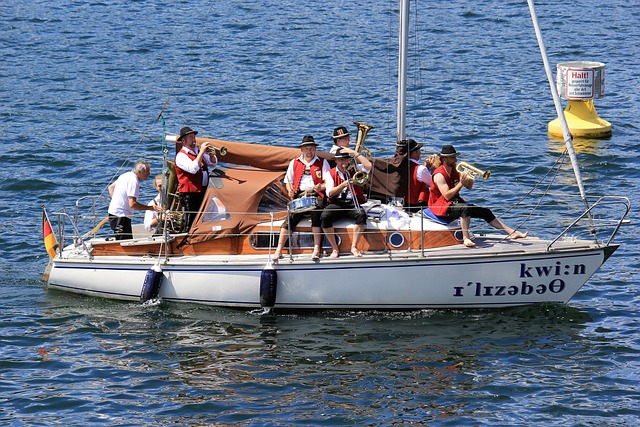 他们却缺乏 他们却缺乏