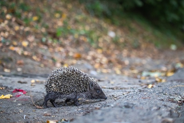 种行之有效 种行之有效