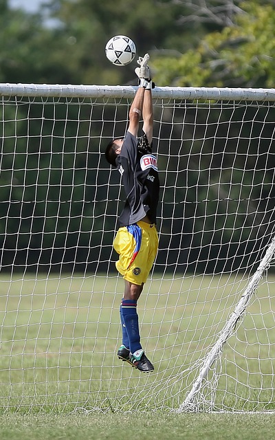 的竞争不仅 的竞争不仅