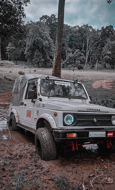 它来自于热 它来自于热