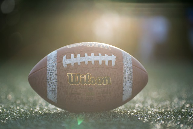 而阿拉维斯 而阿拉维斯